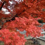 ホルモン豚金 - キレいですな！(お店の内容とは関係ありません)