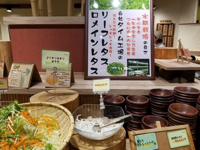 閉店 ひな野 ベルファーム店 上ノ庄 バイキング 食べログ 閉店 ひな野 ベルファーム店 上ノ庄 バイキング 食べログ