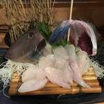 とれたて北海道 - 