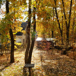 フォレスト ヴェール - 