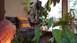 Natural Cafe Iina - 内観