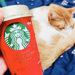 セブンイレブン - ドリンク写真: