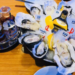 Oyster Bar ジャックポット - 