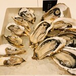 エミット フィッシュバー オイスター&グリル - 生牡蠣盛り合わせ