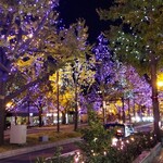 おかめ - 夜の御堂筋