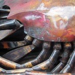 つけ麺 五ノ神製作所 - 海老のサイン、１年経っていい感じ緑青が、また１年後が楽しみ