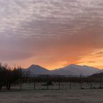 らー麺　Do・Ni・Bo - 朝焼け〜☀️☀️☀️