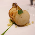 レフェルヴェソンス - 蕪