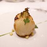 レフェルヴェソンス - 蕪