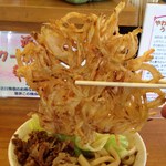 せんしゅう - 肉天うどん（550円）2012年2月