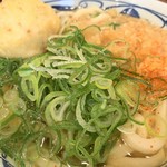 Marugame Seimen - ちょいアップ