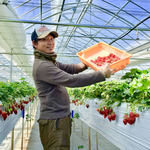 Karuizawa Garden Farm Ichigo En - 【冬春いちご】従業員一同みなさまのお越しをお待ちしております