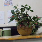 中華そば 紅蘭 - 