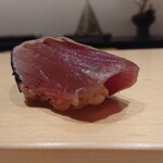鮨 はしもと - 鰹