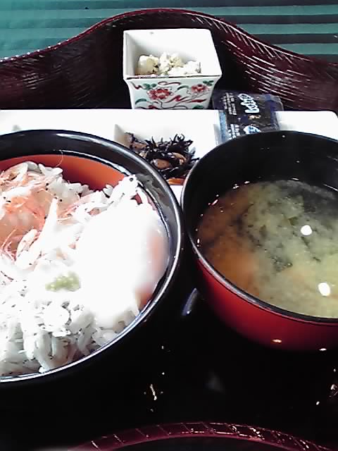 マイホテル竜宮 name=