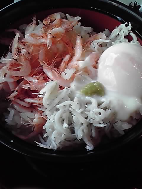 マイホテル竜宮 name=