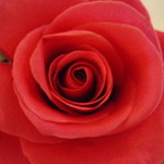 珈琲専門店 預言CAFE - 