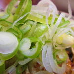 酒蔵 力 - ネギたっぷり