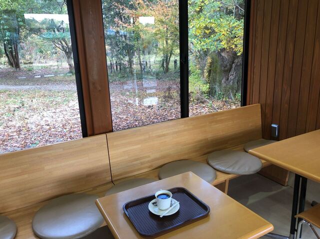 森のカフェ 北山 カフェ 喫茶 その他 食べログ