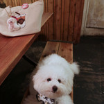 北出食堂 - 初めての北出食堂のベンチ