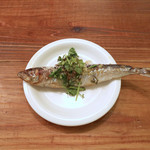 北出食堂 - シャン菜添え〜♬