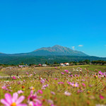 アラミニッツ - お店近くから見える高千穂峰
