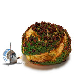 アラミニッツ - きりん商店抹茶とKUROBOのシュークリーム