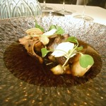 COOK JAPAN PROJECT - 