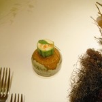 COOK JAPAN PROJECT - 