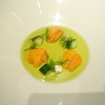 COOK JAPAN PROJECT - 