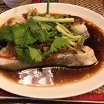 レッド オーキッド - 