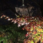 アンテルーム　ミールズ - 東寺紅葉ライトアップ