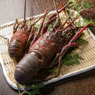 [For anniversaries] Special menu with extra-large spiny lobster, three times the size of a regular lobster