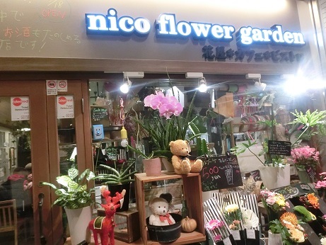 写真 5ページ目 : ニコ フラワーガーデン （nico flower garden