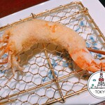 Ginza Kushikatsu Bon - 