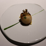 レフェルヴェソンス - 