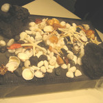 ランベリー - 蛸