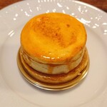 120929737 - レピキュリアン