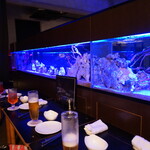 Aquarium Lounge＆Bar Cluz - 