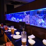 Aquarium Lounge＆Bar Cluz - 