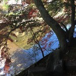 山ばな平八茶屋 - お部屋からの眺め