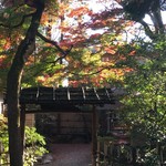山ばな平八茶屋 - 庭