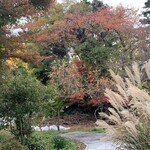 オレンジカフェ すいもん - 