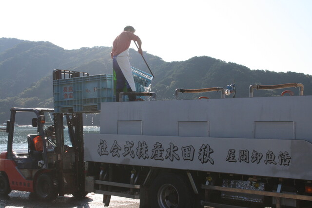 秋田港 - 秋田（寿司）の写真