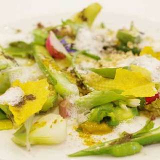 ヴィラ・アイーダ_2