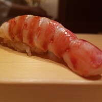 鮨 はしもと - 車海老