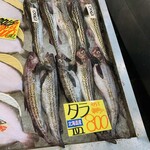 寺泊中央水産 まるなか - 