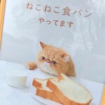 ねこねこ食パン - 