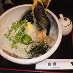 讃岐うどん 白庵 - 生醤油うどん(冷)　なすの天ぷら