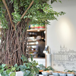 CRISP&LUCE - 